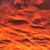 David Longfellow's profile image