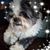 Sheri Halfacer's profile image
