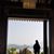 Tsz Ha's profile image