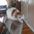 Barbara Irvin's profile image