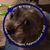 Karen Cave Alexander's profile image