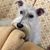 Mary Jane Walton's profile image