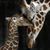 Sharon Moore Westbrook Stalkerr's profile image