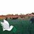 Kurt Hirsch's profile image