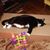 Kelly Wiesen's profile image