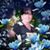 Daveen M Steer Gray's profile image