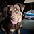 Karen Kurtz's profile image