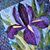 Judy Donihoo's profile image