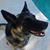 Linda Tanabe's profile image