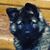 Lisa Clark Flowers's profile image