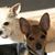 Juanita Porteous's profile image