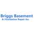 Briggs Basement & Foundation Repair Inc.'s profile image