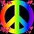 Sarah Anderson's profile image