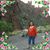 Darlene Singer's profile image