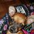Anna Clark-Sambrone's profile image