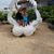 Carolyn Hodgman's profile image