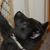 Gail Payne Kirkpatrick's profile image