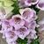 Sheri Penner's profile image