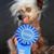 Kriste Castellano's profile image