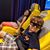 Jimmy Sara Adam Sophia's profile image