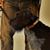 Fred Turjan's profile image