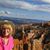 Patti Graham's profile image