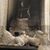 David Otto Scaer's profile image