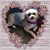 Cynthia Laughlin's profile image