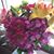 Sue Kirlin's profile image