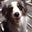 Brad Williams's profile image