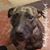 Angela Phillips's profile image