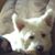 Janie Thomas's profile image