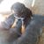 MaKayla Waltzing's profile image