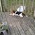 Sammi Marta's profile image