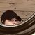 Heather Herdt's profile image