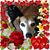 Susan Fox's profile image