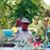 Amanda Compton Kirk's profile image