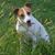 Loretta Podeszwa's profile image