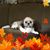 Mary Ellen Prinsen's profile image