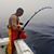 Joseph Lamson's profile image