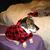 Becky Chuck Knopf Stutz's profile image