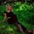 Amanda Moxon's profile image