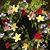 Sandy's Place Kmi's profile image