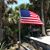 Brenda J Beckwith's profile image