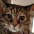 Whitney Trembly's profile image