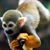 Michael Dowler's profile image