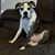 Cathi Sweet's profile image