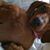 QueenRobin Muhammad's profile image
