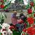 Ken Van Rossum's profile image