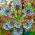 Candace Hulse's profile image